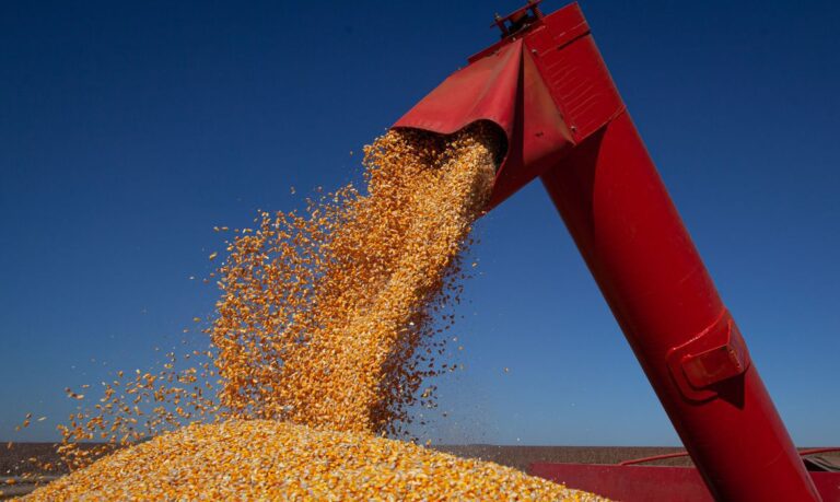 Agricultura: exportações do agronegócio caem 5,6% em fevereiro, para US$ 9,89 bi (Foto: CNA/ Wenderson Araújo/Trilux)
