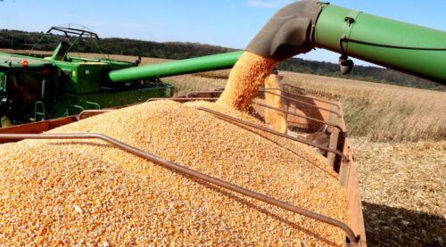 A exportação de soja do Brasil até a quarta semana de março foi de 9,987 milhões de toneladas, com uma média diária de 554,8 mil toneladas. (Foto: Freepik)
