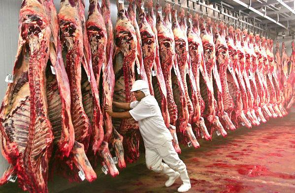 Exportações para a China causaram prejuízo de US$ 25 milhões por dia. (Foto: Divulgação)
