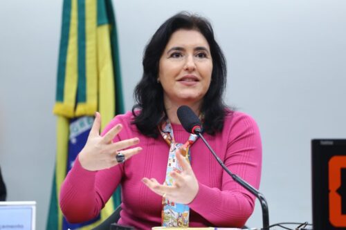 Simone Tebet, ministra do Orçamento e Planejamento. Foto: Vinicius Loures/ Câmara dos Deputados