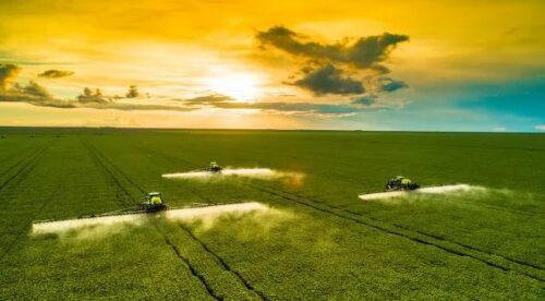 Setor de agronegócio em alta. Foto: Freepik