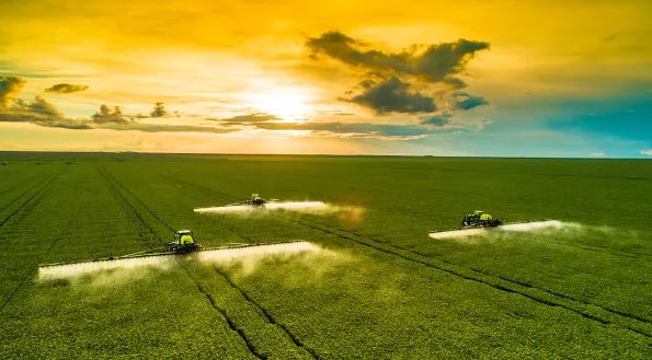 Setor de agronegócio em alta. Foto: Freepik