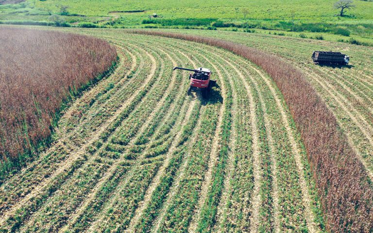 A Câmara dos Deputados aprovou o texto-base da reforma tributária, trazendo mudanças que beneficiam o setor do agronegócio. Confira as principais alterações Foto: Reprodução FGV