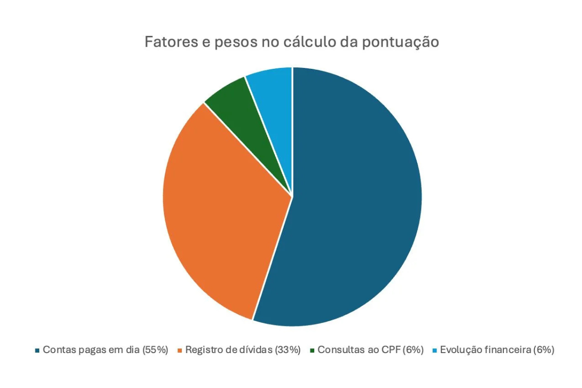 Gráfico com os fatores de peso do score do Serasa