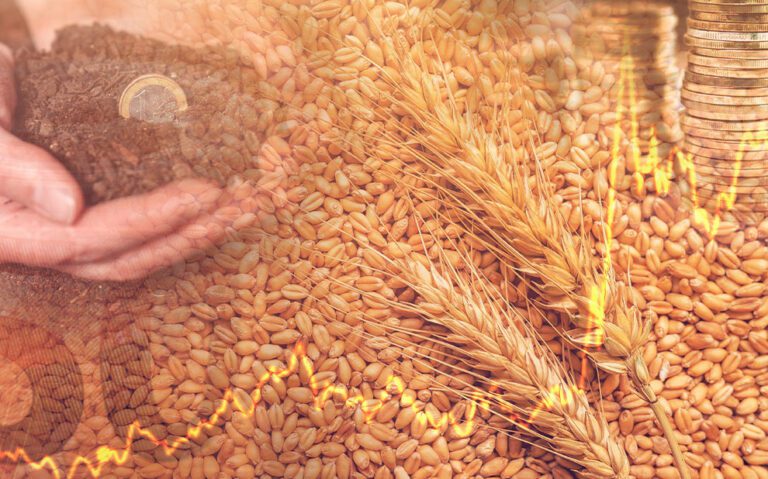 Inflação medida pelo IGP-10 registra leve queda em agosto, com commodities influenciando resultado. Foto: Reprodução FGV