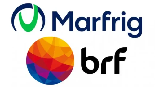 CVM multa diretor da Marfrig (MRFG3) por falhas na comunicação de aquisição de participação na BRF (BRFS3)