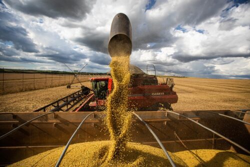 Brasil alcança produção recorde de 320 milhões de toneladas de grãos na safra 2022-2023