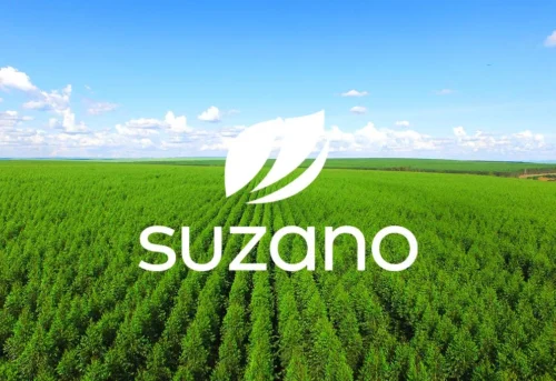 Suzano (SUZB3): diretora anuncia que a empresa não irá distribuir dividendos em 2023. Foto: Reprodução Suzano