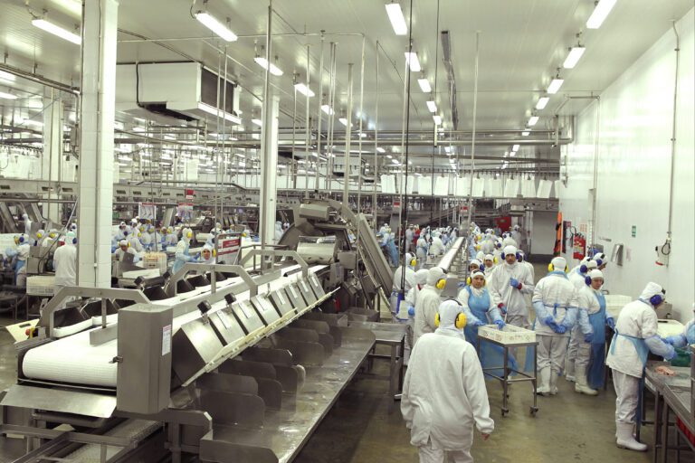 Minerva (BEEF3) capta R$ 2 bilhões em emissão de debêntures