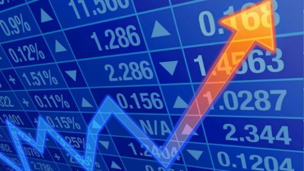 Empresas de destaque: As maiores valorizações na bolsa brasileira em 2023