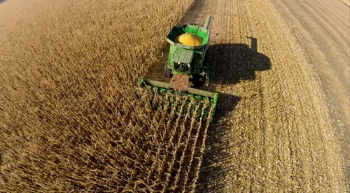 Crescimento de Fiagros chega até 403% em 12 meses; veja detalhes 