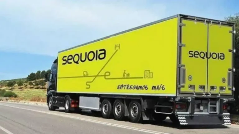 Sequoia (SEQL3) sugere grupamento de ações; entenda a proposta
