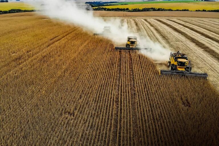 Fiagro VGIA11 anuncia novos dividendos; saiba mais