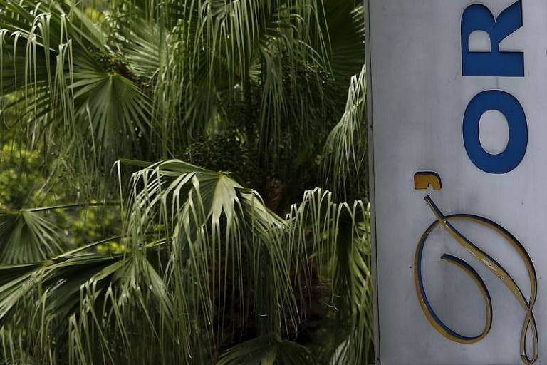 uma placa com o logo da D'Or na frente de uma parede de plantas