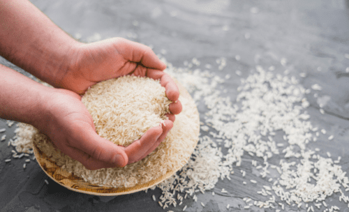 pessoa segurando grãos de arroz