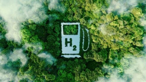 Eletrobras e Suzano se unem para produção de soluções sustentáveis