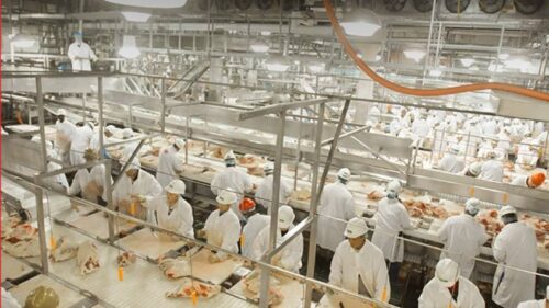 JBS vai antecipar pagamento de até US$ 500 mi em títulos emitidos no exterior