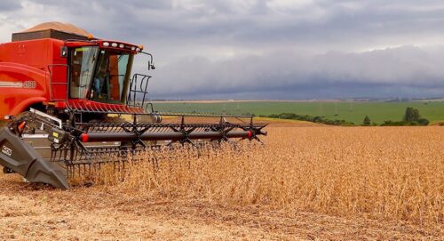 Impacto climático na safra agrícola brasileira: revisão do IBGE para 295,9 mi de toneladas