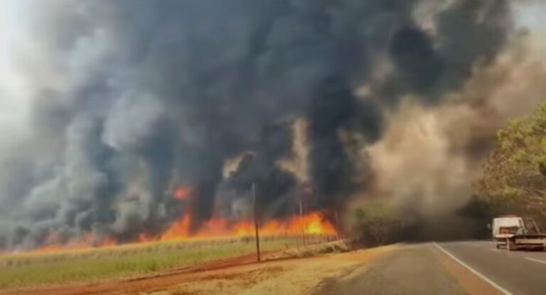 Queimadas em todo o país elevam demanda por serviços de saúde, alerta ministra da saúde