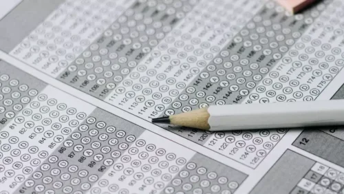 Abstenção o CNU foi dentro do previsto, diz ministra da Gestão