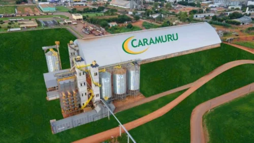 Caramuru e Biocen vão investir R$ 1,1 bi em usina de etanol de milho em MT