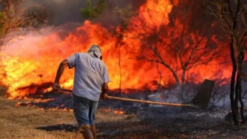Incêndios florestais no Brasil: impactos severos e prejuízos econômicos de bilhões