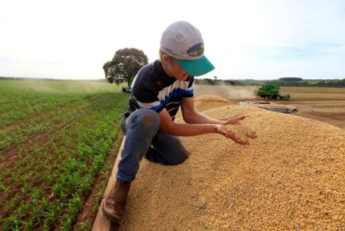 IGP-M acelera para 1,37% na segunda prévia de outubro; preços ao produtor disparam