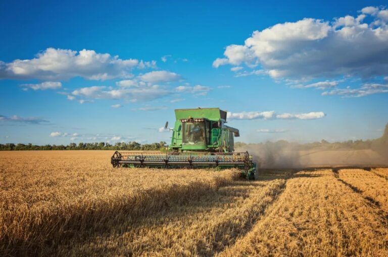 Fundos de investimentos no agro veem oportunidades para 2025