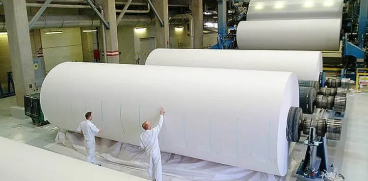 XP avalia melhora para empresas do setor de celulose no 3T24