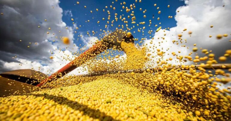 Produção de grãos no Brasil deve crescer 9,4% em 2025, aponta Conab