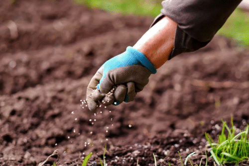 Alta dos fertilizantes preocupa agricultores e pressiona safra 20252026 no Brasil