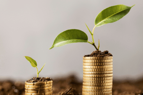 Plantas verdes brotando sobre moedas de ouro.