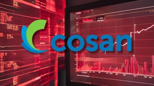 Logo da COSAN-CSAN3