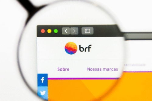 Captura de tela do site da brf visto através de uma lupa, destacando o logo colorido da empresa e o menu com as opções Sobre e Nossas marcas.