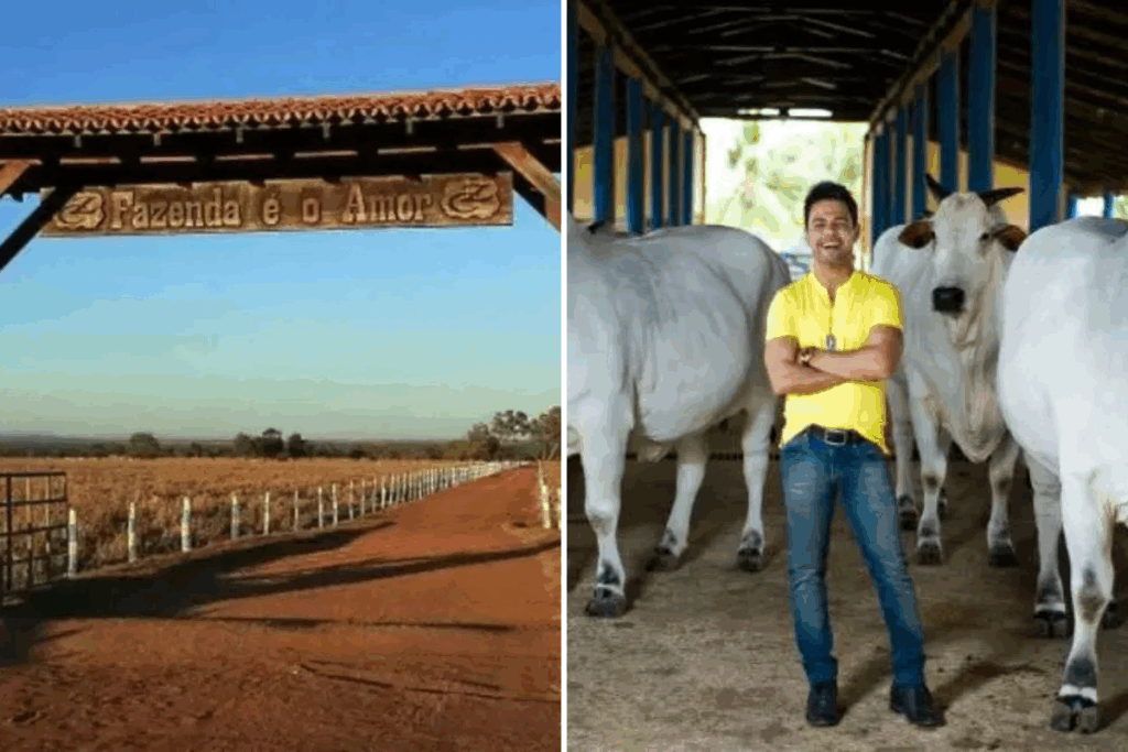 Montagem com placa da fazenda É o amor, ao lado de uma foto de Zezé Di Camargo.
