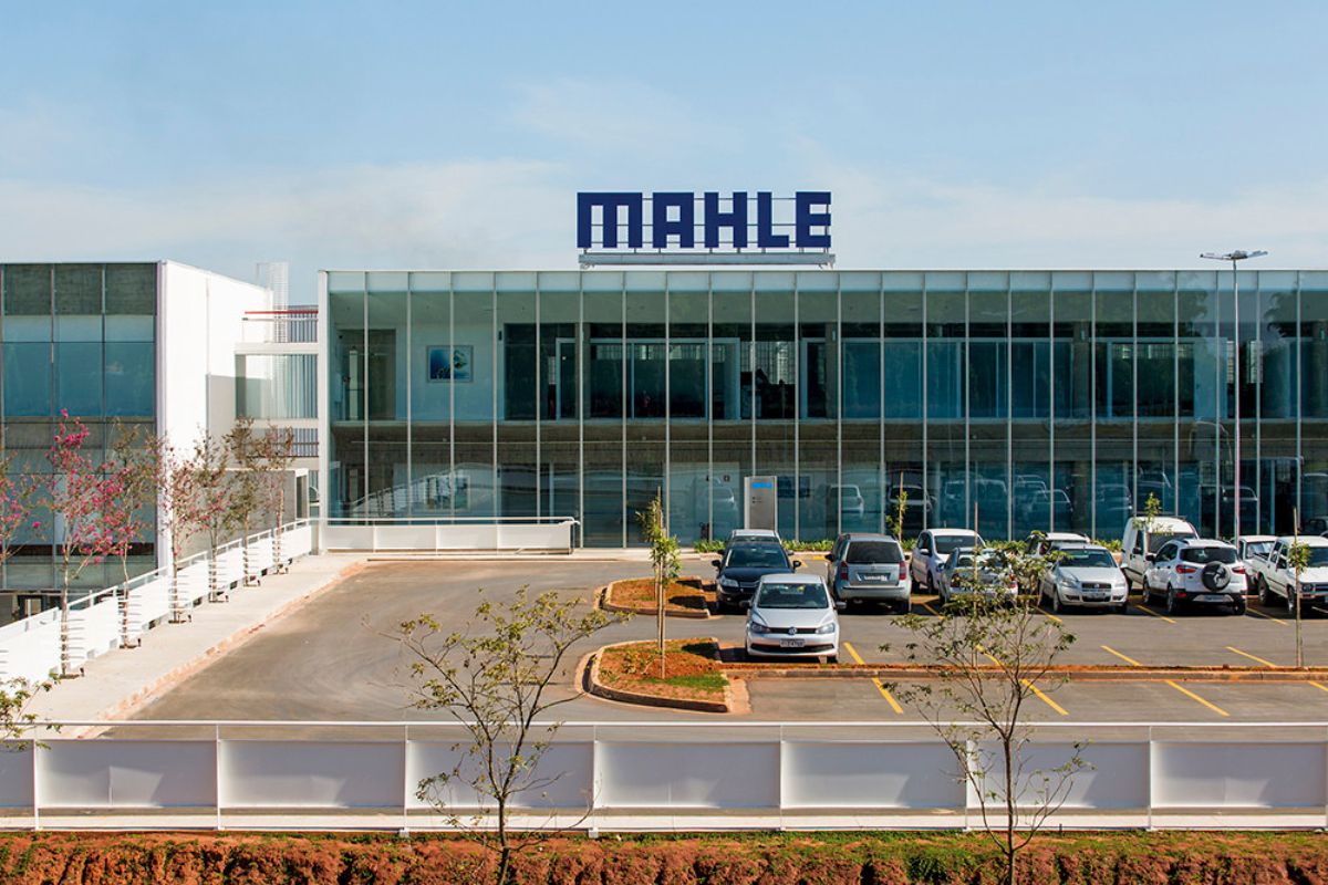 dividendos e jcp leve3