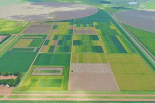 Imagem aérea de fazendas e plantações organizadas em campos da SLC Agrícola.