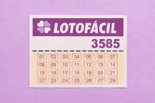 Volante da Lotofácil concurso 3585 com números de 01 a 28 organizados em grade, sobre fundo roxo.