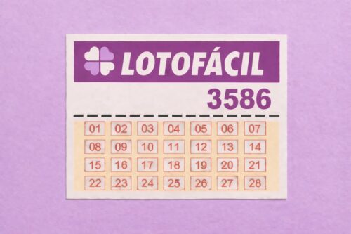 Cartela da Lotofácil número 3586, com números de 01 a 28 organizados em grade, em fundo lilás.