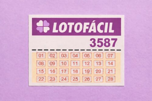 Cartela da Lotofácil com concurso 3587, números de 01 a 28 organizados em grade sobre fundo roxo.