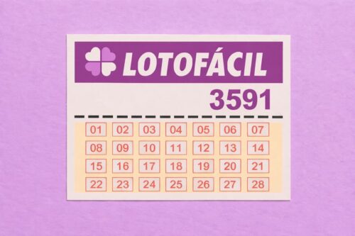 Cartela da Lotofácil com concurso 3591, números de 01 a 28 organizados em grade, em fundo lilás.
