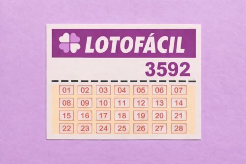Cartela da Lotofácil com concurso 3592, números de 01 a 28 destacados, em fundo lilás e layout oficial da loteria.