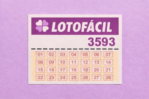 Volante da Lotofácil com identificação do concurso 3593 e sequência numérica destacada, apresentado sobre fundo lilás.