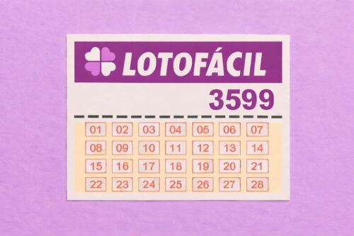 Cartela da Lotofácil concurso 3599, com números de 01 a 28 organizados em grade sobre fundo roxo.