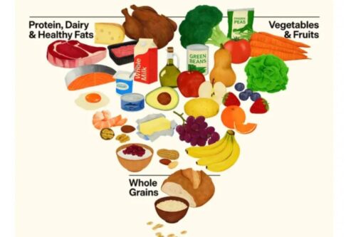 Nova pirâmide alimentar dos EUA