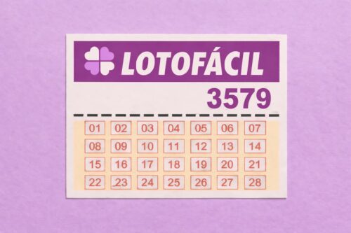 Cartela da Lotofácil do concurso 3579, com números de 01 a 28 organizados em grade sobre fundo lilás.