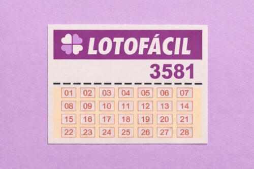 Cartela da Lotofácil do concurso 3581 com números organizados em grade sobre fundo lilás.