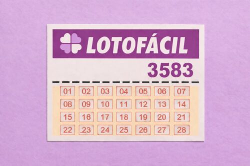 Cartela da Lotofácil concurso 3583, com números de 01 a 28 organizados em grade sobre fundo lilás.
