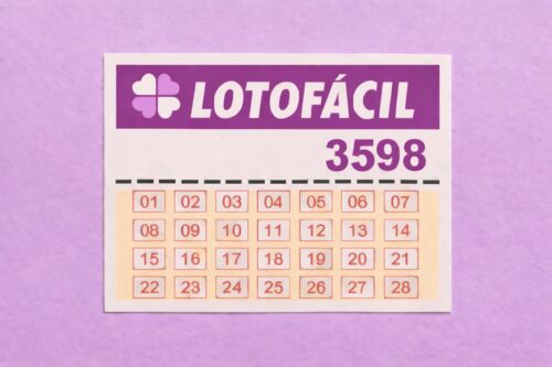 Cartela ilustrativa da Lotofácil com numeração de 01 a 28 e destaque para o concurso 3598, em fundo roxo claro.