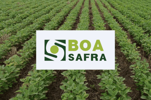 Se o artigo for especificamente sobre o desempenho da ação SOJA3, você pode adaptar para: "Logotipo da Boa Safra (SOJA3) sobre campo de soja, representando a produção de sementes da companhia.